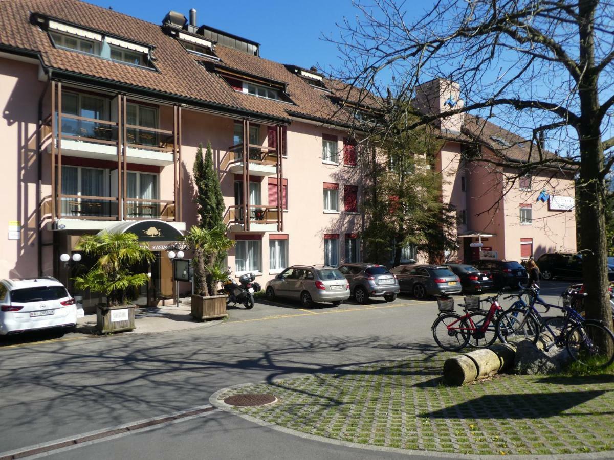 Residence Kastanienbaum Horw Kültér fotó